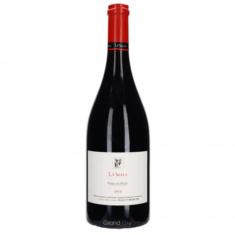 2013 Dominio de Atauta San Juan