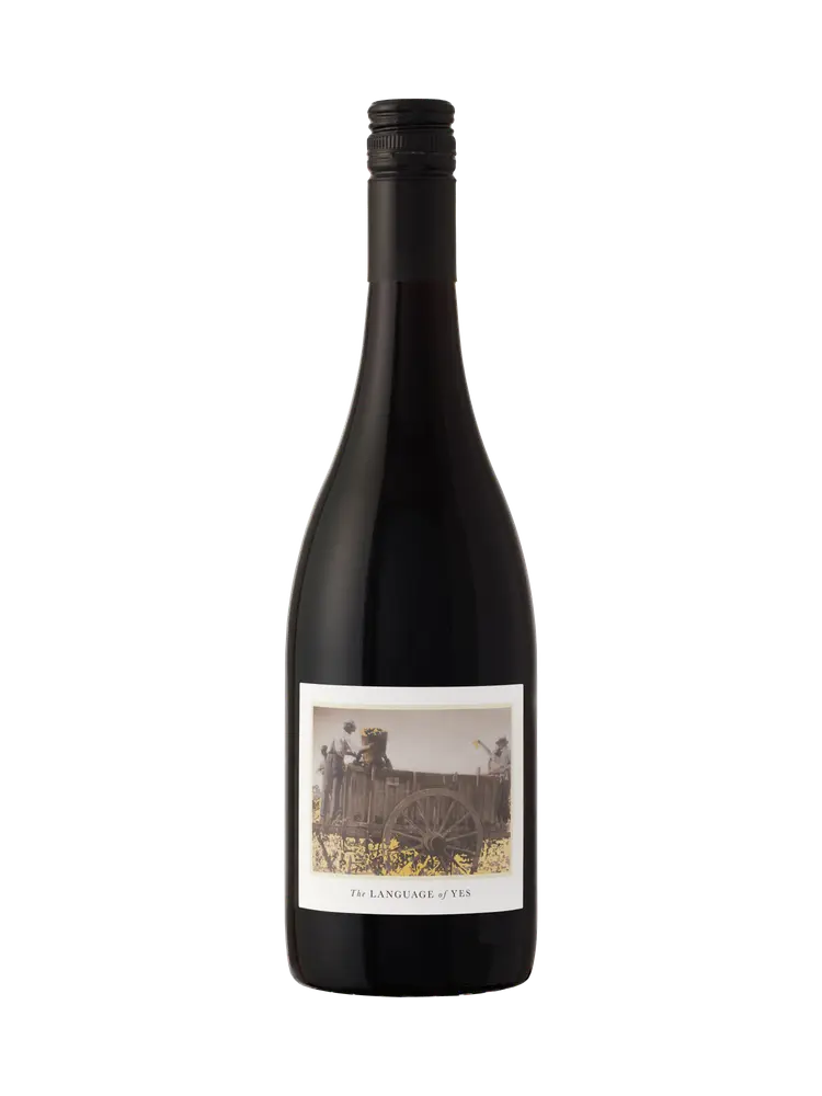 2021 The Language of Yes Syrah Rancho Real Vineyard