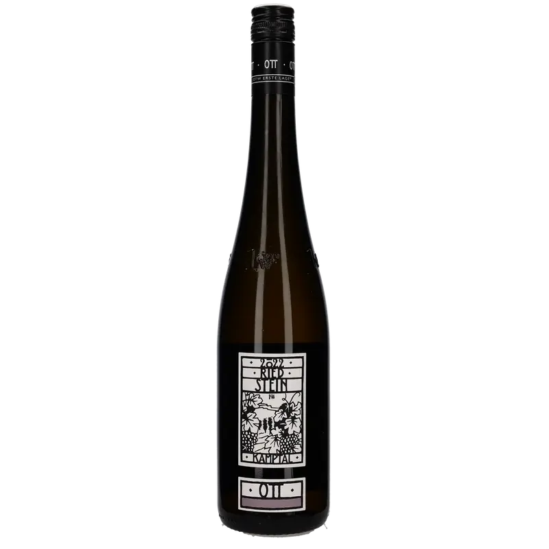 2022 Bernhard Ott Gruner Veltliner Ried Stein Kamptal 1OWT BIO