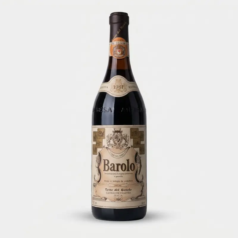 Barolo Riserva Terre del Barolo 1981