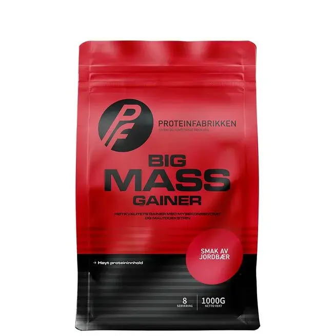 Big Mass Gainer, 1000g