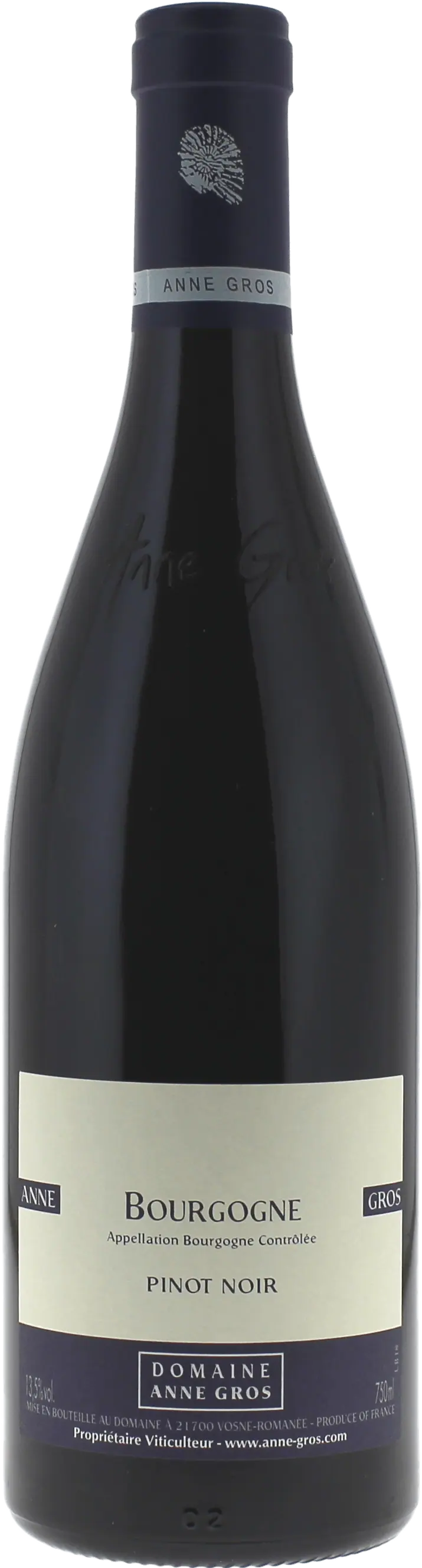 Bourgogne Pinot Noir Domaine Gros Anne - Magnum 1,5L, 2015