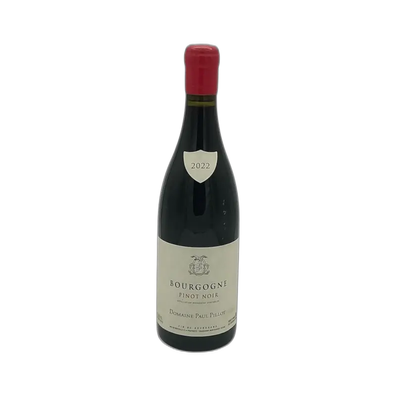 Bourgogne Pinot Noir. Domaine Pillot Paul, 2022
