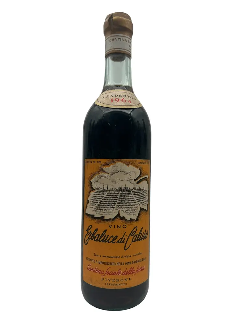 Cantina sociale della Serra Erbaluce di Caluso Vendemmia 1964