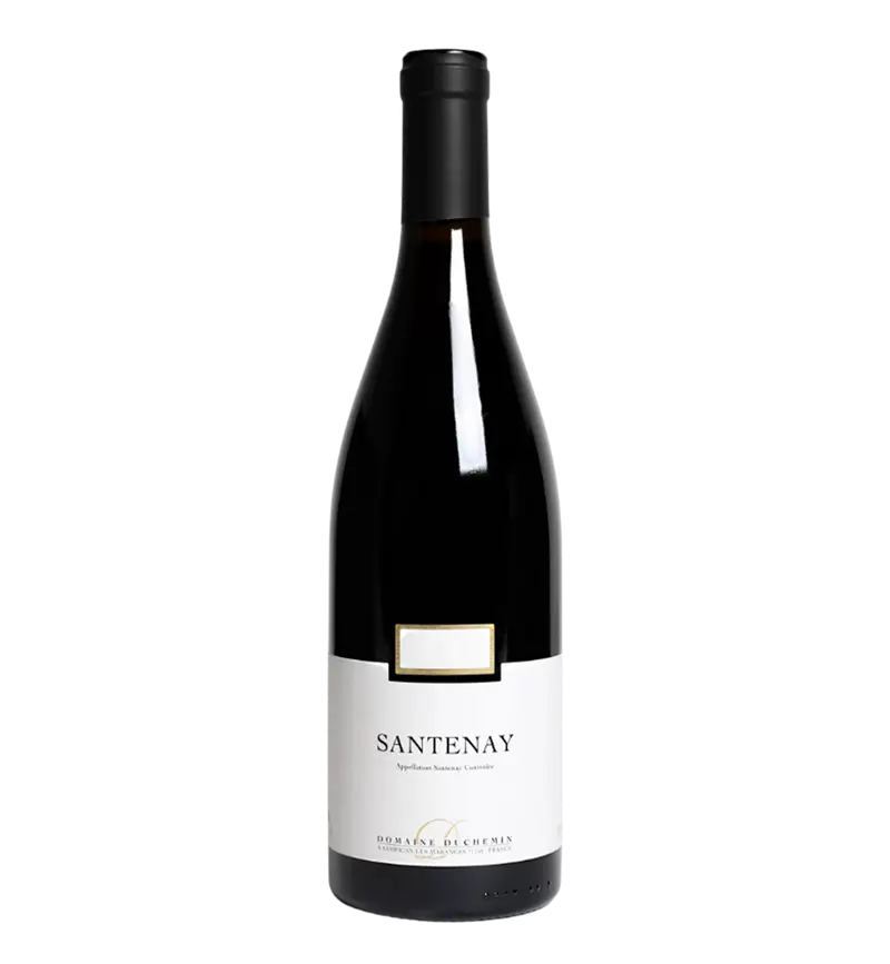 Domaine Duchemin Santenay 2022