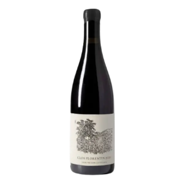Domaine Jean-Louis Chave, Domaine Jean-Louis Saint-Joseph Clos Florentin 2018
