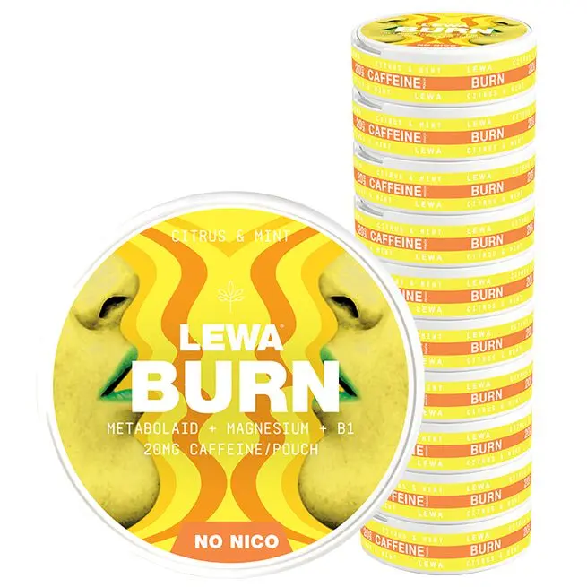 Functional NoNico Burn Nikotinfria Påsar Citrus/Mynta 10 pack