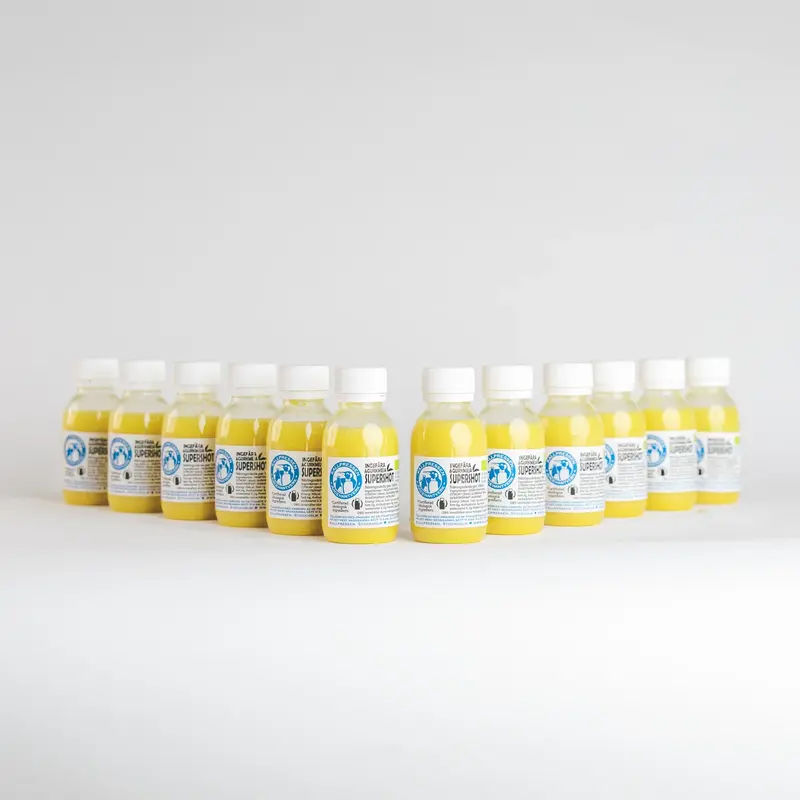 Gurkmeja & Ingefära Supershot - 12 Pack