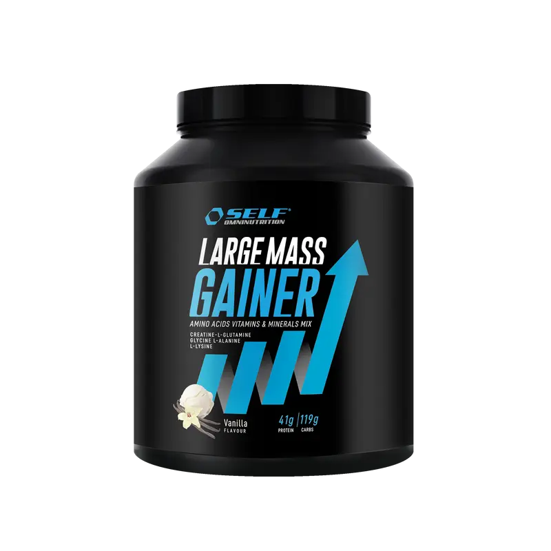 Large Mass Gainer - 2kg