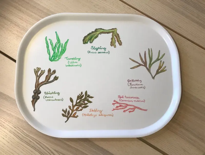 Ovala tångbrickan