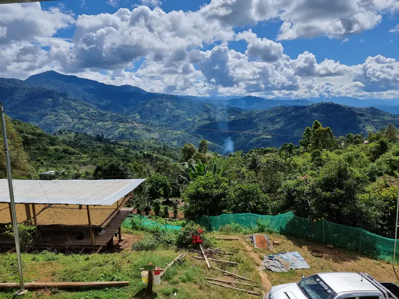 Peru - Cajamarca 250g