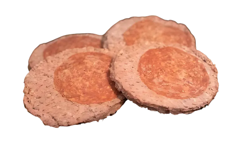 Pizza Burgers