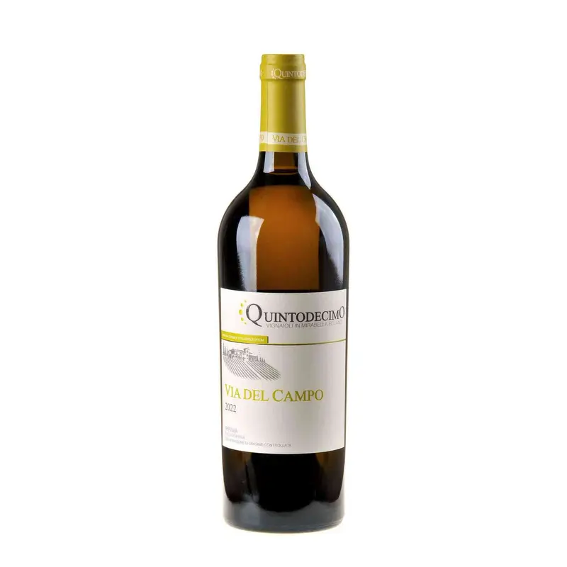 Quintodecimo Falanghina Via Del Campo 2022