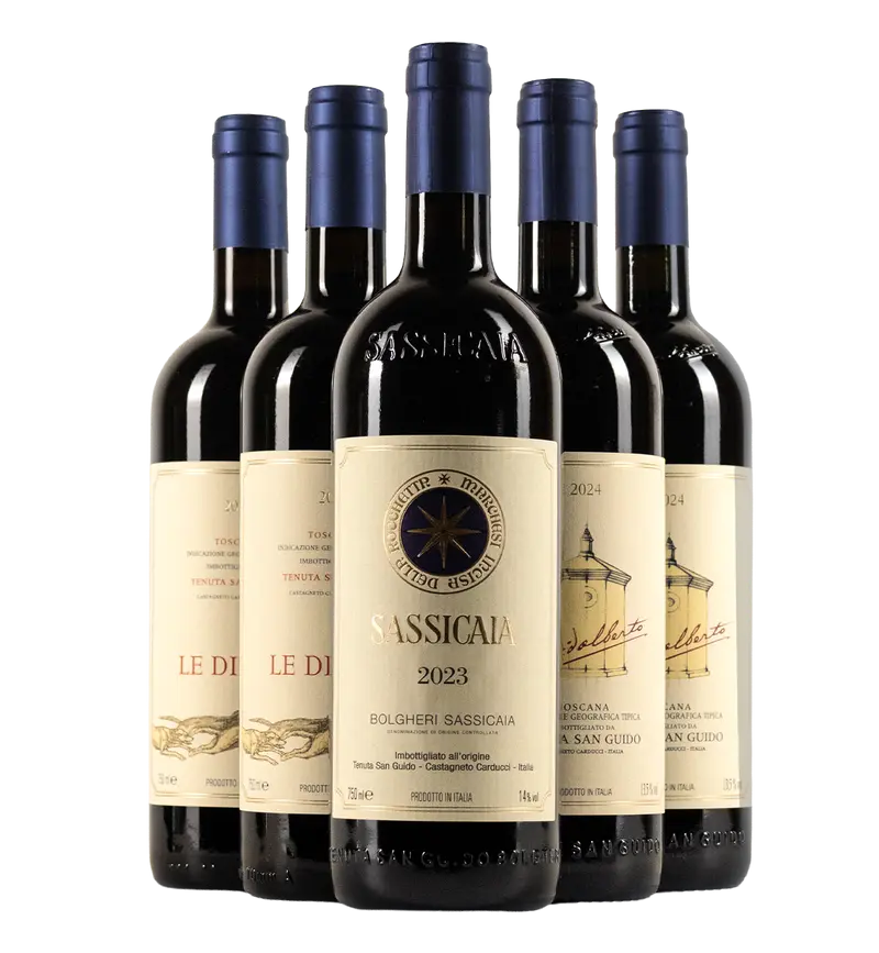 Sassicaia 2023 Smagekasse