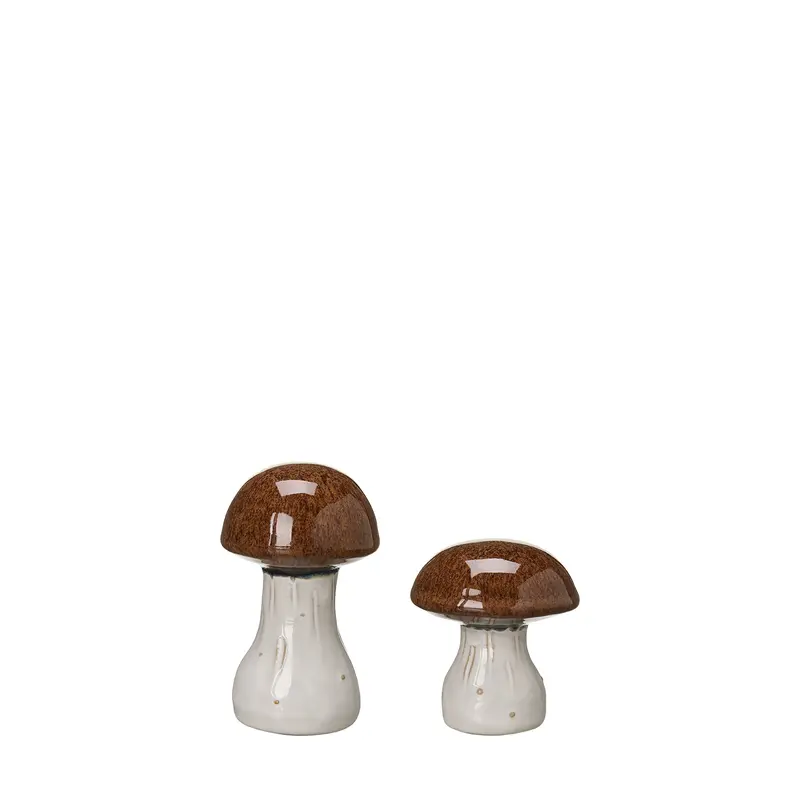 Svampar 2-set