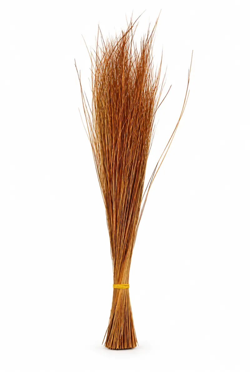 Walis Tingting Filipino Palm Broom 76 cm